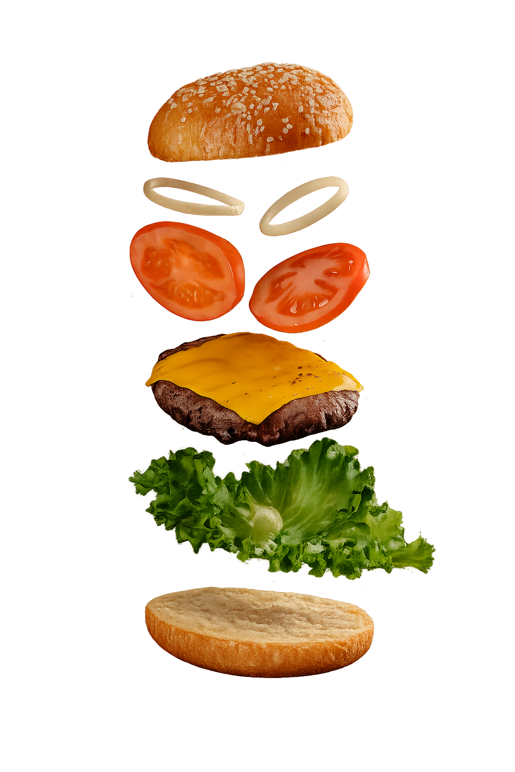Healthy Burger